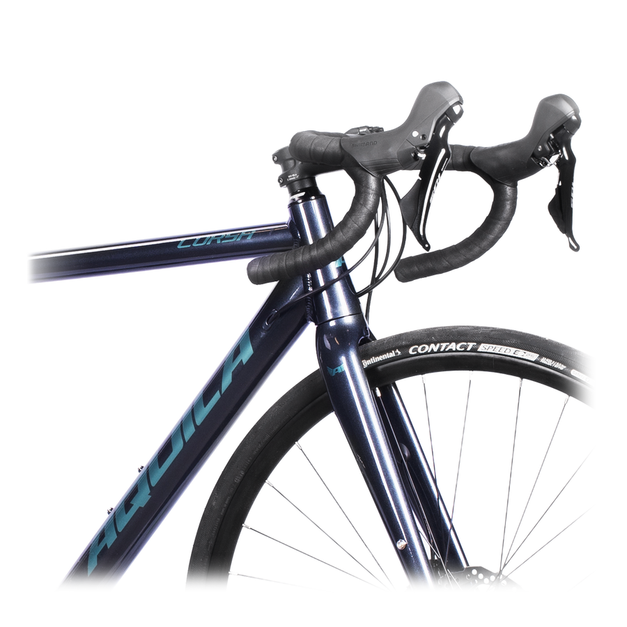 CARBON FRONT FORK