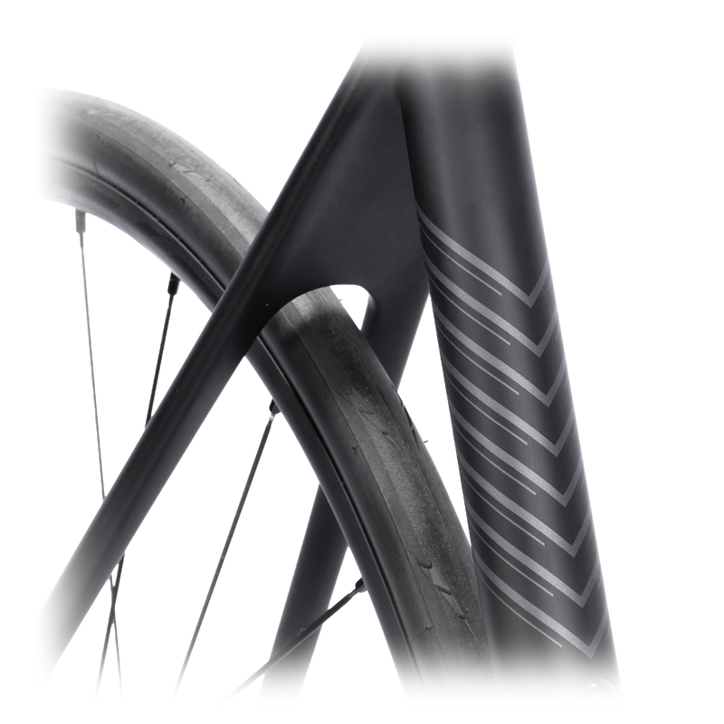 LSJ – LEAF-SPRING JUNCTION