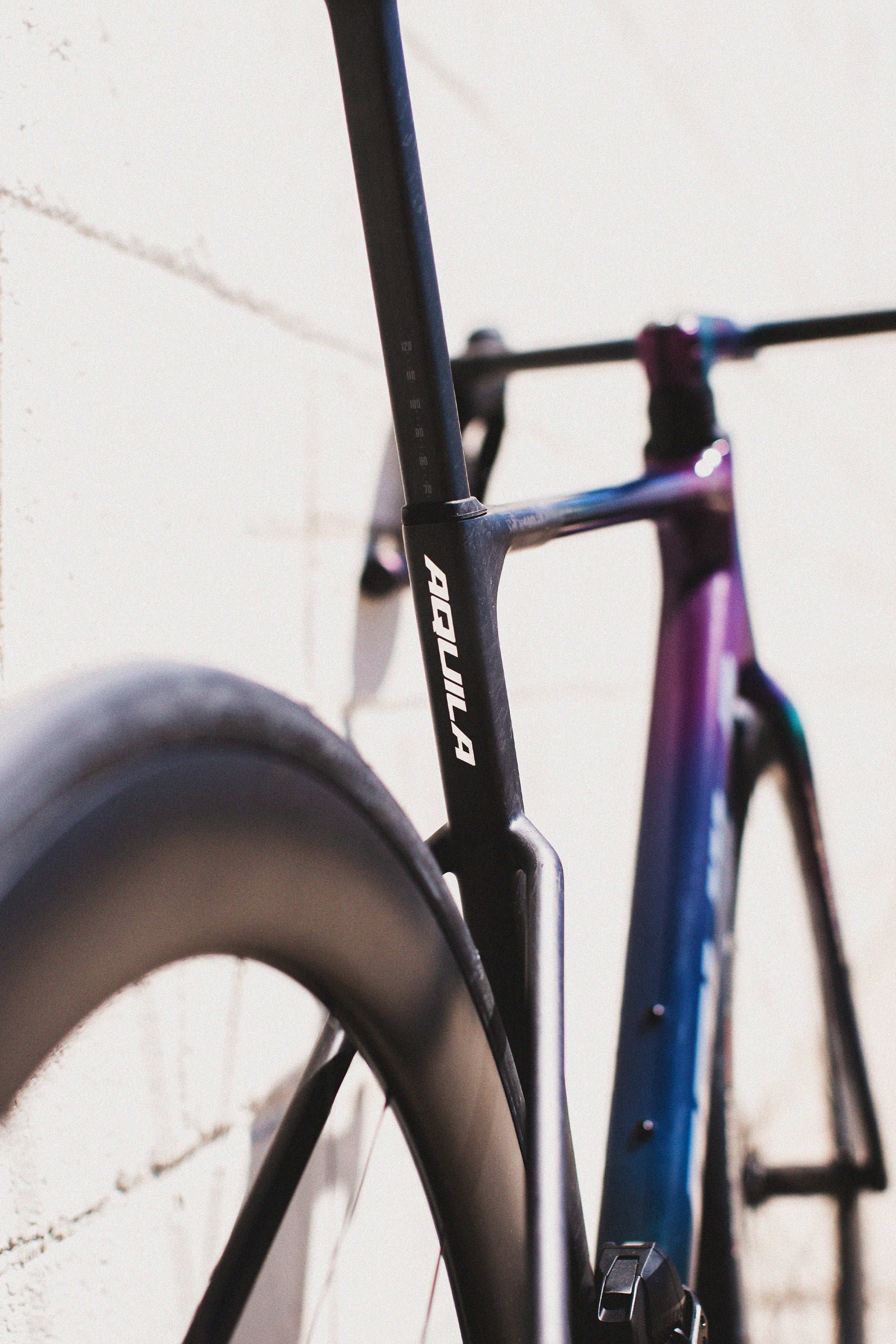 PROVEN PERFORMANCE – Real Speed Cycling